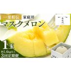 ふるさと納税 メロン 3回定期便 家庭用 1玉入り 【 メロン定期便メロン定期便メロン定期便メロン定期便メロン定期便メロン定期便 】 Wtn-0038 高知県香南市