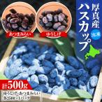 冷凍 ハスカップ 計500g