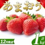 いちご あまおう 計1kg