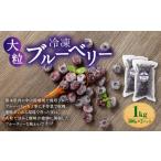 fu.... налог Kumamoto префектура производство крупный рефрижератор голубика 1kg(500g×2 упаковка ) фрукты фрукты .. было использовано рефрижератор голубика местного производства Kumamoto префектура 