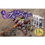 fu.... налог Kumamoto префектура производство крупный рефрижератор голубика 1.5kg(500g×3 упаковка ) фрукты фрукты .. было использовано рефрижератор голубика местного производства Kumamoto префектура 