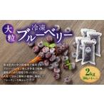 fu.... налог Kumamoto префектура производство крупный рефрижератор голубика 2kg(500g×4 упаковка ) фрукты фрукты .. было использовано рефрижератор голубика местного производства Kumamoto префектура 