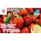 ふるさと納税 盛岡夏いちご (すずあかね) 盛岡市玉山から産地直送! 250g 〜 300g × 2パック 苺 クール便 数量限定 岩手 果物類 イチゴ 岩手県盛岡市