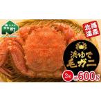 fu.... налог [ Hokkaido производство ]... четырёхугольный волосатый краб примерно 600g (2 хвост ввод ) mr1-1059 Hokkaido лес блок 