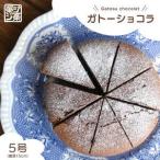 ケーキ カステラ ガトーショコラ 自慢のチーズケーキ