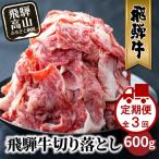 飛騨牛 訳あり 切り落とし600g 牛肉 切り落とし