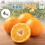 Saito Orange Farm ご 伊予柑4kg