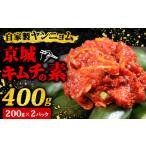 ヤンニョム キムチの素 200g