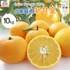 Saito Orange Farm ご 新甘夏10kg
