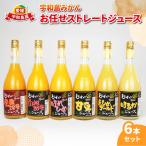 みかんジュース6本なつみブラッドオレンジJAH020-009009