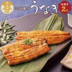 〈うなぎ専門店やまのうち〉江戸焼き うなぎ