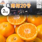 Saito Orange Farmの南柑20号2kg