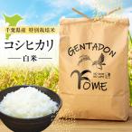 AB1-014 特別栽培米 コシヒカリ 白米 27kg