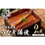 ふるさと納税 ＜うなぎ屋かわすい＞鹿児島県産 国産 うなぎ 蒲焼 タレ 鰻 うな重 かばやき 計300g 以上 150〜169g×2本【川口水産】A854 鹿児島県曽於市