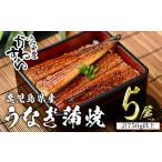 ふるさと納税 ＜うなぎ屋かわすい＞鹿児島県産 国産 うなぎ 蒲焼 タレ 鰻 うな重 かばやき 計750g 以上 150〜169g×5本【川口水産】A857 鹿児島県曽於市