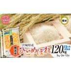 令和8年産ひとめぼれ 無洗米 10kg×12回定期便