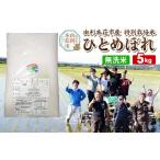 ふるさと納税 【無洗米】秋田県由利本荘市産 特別栽培米 ひとめぼれ 5kg(5kg×1袋)令和6年産 秋田県由利本荘市