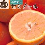 ふるさと納税 家庭用 セミノールオレンジ10kg+250g(傷み補償分)【春みかん】【訳あり】【光センサー選果】【配送不可地域:離島・北海道・沖.. 和歌山県日高町
