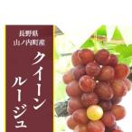 クイーンルージュ ぶどう 2房 1kg