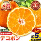 デコポン 訳あり 5kg