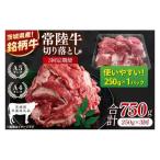 お試しサイズ 常陸牛切り落とし 250g