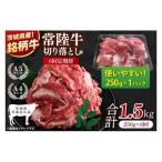 お試しサイズ 常陸牛切り落とし 250g