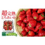 いちご 朝採れとちあいか レギュラー 計1080g