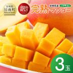 訳あり 完熟マンゴー3玉