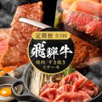 全3回 飛騨牛 定番 ステーキ 焼肉 すき焼き