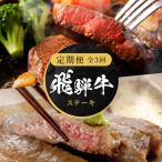 全3回 飛騨牛 ステーキ 定期便 MZ107