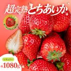 いちご 朝採れとちあいか レギュラーサイズ 約270g