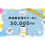 日本旅行 地域 旅行クーポン300 000円分