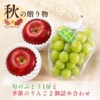 秋の旬のぶどう1房と季節のりんご2個詰め合わせ