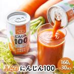 ふらのにんじん100,160g×30本入