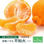 越冬完熟しらぬひ 2kg