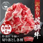 全6回 飛騨牛 切り落とし MZ111