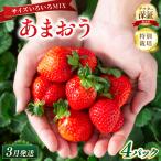 いちご 特別栽培 あまおう サイズいろいろMIX