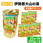温泉の素 伊勢原大山の湯 小袋 25g×5袋
