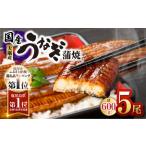 ショッピングうなぎ 蒲焼き 国内産 送料無料 ふるさと納税 鹿児島県大隅産 うなぎ蒲焼 5尾セット（ 計600g ） KN007-022 うなぎ ウナギ 鰻 鰻蒲焼き ウナギ蒲焼 惣菜 総菜 魚類 魚貝類 魚.. 鹿児島県鹿屋市