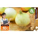 牟田農園の春の新玉ねぎ10kg M~2L
