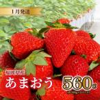 あまおう苺280g×2パック