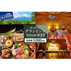 ふるさと納税 Altitude-アルティチュード-939 富士山の麓グランピング 利用券 3,000円券 利用券 ヴィラ グランピング アウトドア テント プ.. 山梨県富士吉田市