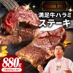 オリジナルスパイス仕込み 1枚220g×4P 合計880g
