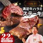 オリジナルスパイス仕込み 1枚220g×10P 合計2.2kg