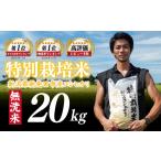 令和8年産 コシヒカリ 玄米 20kg