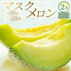 マスクメロン 2玉入