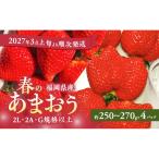あまおう 春 2L