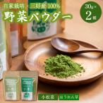 野菜パウダー 30g