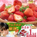 春あまおう DX 4P BGAG019 苺 イチゴ