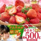 冬あまおう DX 2P BGAG020 苺 イチゴ
